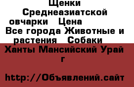 Щенки Среднеазиатской овчарки › Цена ­ 30 000 - Все города Животные и растения » Собаки   . Ханты-Мансийский,Урай г.